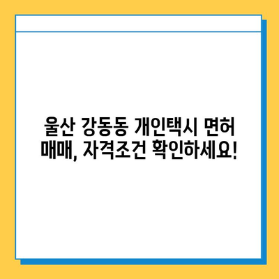 울산 북구 강동동 개인택시 면허 매매 가격 & 자격조건 완벽 가이드 | 오늘 시세, 넘버값, 월수입, 양수교육