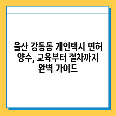 울산 북구 강동동 개인택시 면허 매매 가격 & 자격조건 완벽 가이드 | 오늘 시세, 넘버값, 월수입, 양수교육