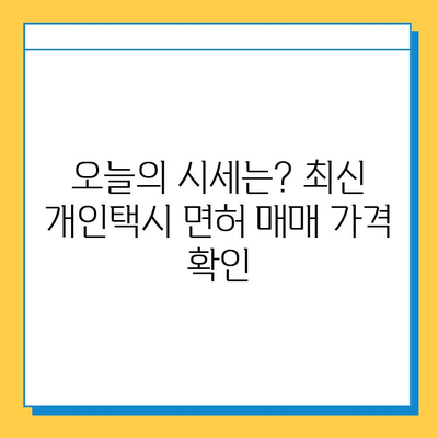 인천 연수구 선학동 개인택시 면허 매매 가격| 오늘 시세 확인 & 자격조건 | 월수입 | 양수교육 | 번호판 넘버값