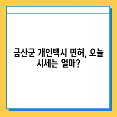 금산군 개인택시 면허 매매 가격| 오늘 시세 확인 & 자격/월수입/양수교육 정보 | 금산읍, 번호판, 넘버값