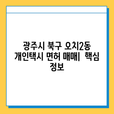 광주시 북구 오치2동 개인택시 면허 매매 가격| 오늘 시세 & 자격조건 & 월수입 & 양수 교육 | 넘버값, 번호판, 핵심 정보