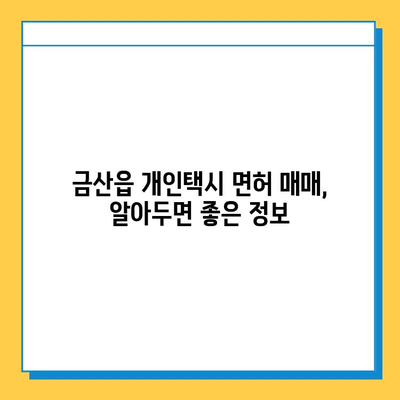 금산군 개인택시 면허 매매 가격| 오늘 시세 확인 & 자격/월수입/양수교육 정보 | 금산읍, 번호판, 넘버값