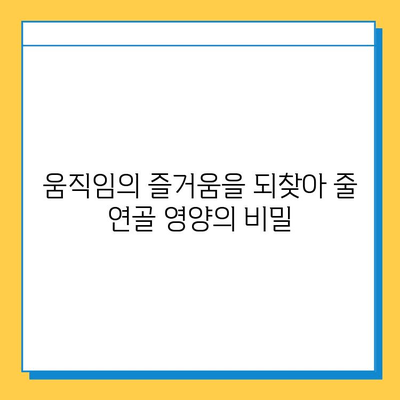 약해진 관절을 위한 연골 관리 복합식품| 건강한 관절, 지금부터 시작하세요 | 관절 건강, 연골 영양, 건강식품, 복합 기능성