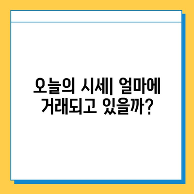 광주시 북구 오치2동 개인택시 면허 매매 가격| 오늘 시세 & 자격조건 & 월수입 & 양수 교육 | 넘버값, 번호판, 핵심 정보