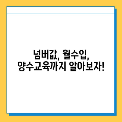 제주도 제주시 용담2동 개인택시 면허 매매 가격| 오늘 시세 확인 & 자격조건 | 넘버값, 월수입, 양수교육