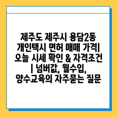 제주도 제주시 용담2동 개인택시 면허 매매 가격| 오늘 시세 확인 & 자격조건 | 넘버값, 월수입, 양수교육