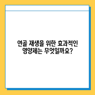 무릎 연골 건강, 이제 효과적인 영양제로 지켜보세요! | 연골 재생, 관절 건강, 무릎 통증 완화, 부작용 없는 영양제