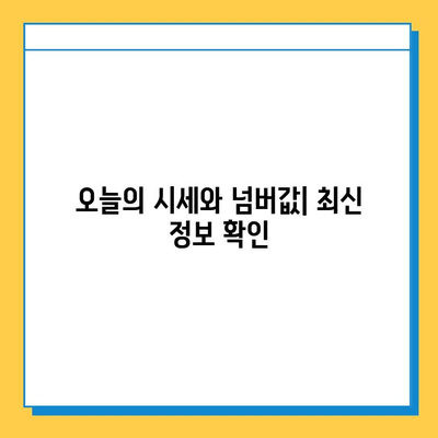 서울 서초구 반포1동 개인택시 면허 매매 가격 | 오늘 시세, 넘버값, 자격조건, 월수입, 양수교육 | 상세 정보