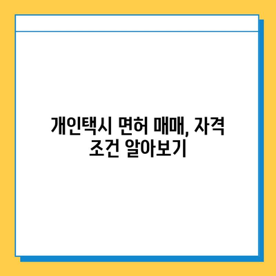 서울 서초구 반포1동 개인택시 면허 매매 가격 | 오늘 시세, 넘버값, 자격조건, 월수입, 양수교육 | 상세 정보