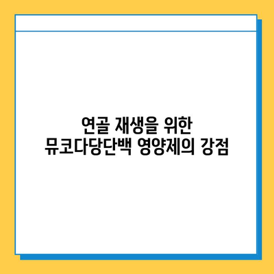 연골 재생을 위한 뮤코다당단백 영양제의 강점| 효능, 장점, 그리고 선택 가이드 | 관절 건강, 연골 건강, 뮤코다당단백, 영양제