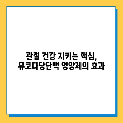 연골 재생을 위한 뮤코다당단백 영양제의 강점| 효능, 장점, 그리고 선택 가이드 | 관절 건강, 연골 건강, 뮤코다당단백, 영양제