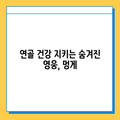 멍게가 된 