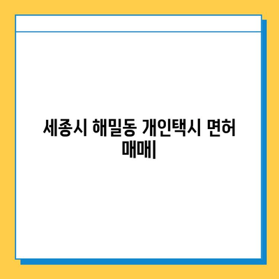 세종시 해밀동 개인택시 면허 매매 가격| 오늘 시세 확인 & 자격조건 | 월수입 | 양수교육