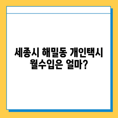 세종시 해밀동 개인택시 면허 매매 가격| 오늘 시세 확인 & 자격조건 | 월수입 | 양수교육