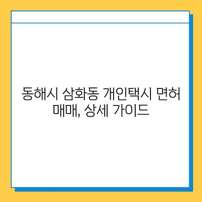 강원도 동해시 삼화동 개인택시 면허 매매| 오늘 시세, 넘버값, 자격조건, 월수입, 양수교육 정보 | 상세 가이드