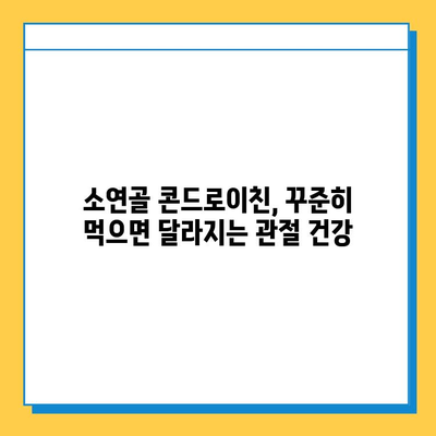 소연골 콘드로이친, 건강한 관절을 위한 후기| 실제 사용자 경험 공유 | 관절 건강, 연골 재생, 건강 기능식품, 효능 후기