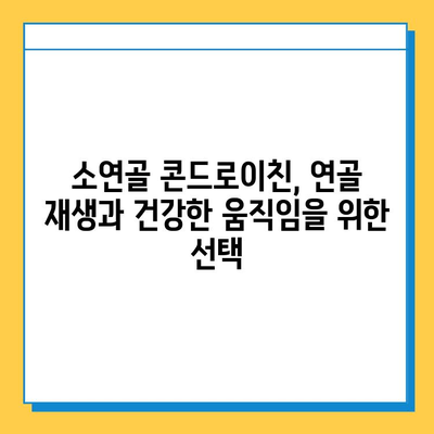 소연골 콘드로이친, 건강한 관절을 위한 후기| 실제 사용자 경험 공유 | 관절 건강, 연골 재생, 건강 기능식품, 효능 후기