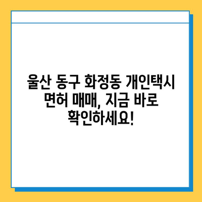 울산 동구 화정동 개인택시 면허 매매 가격| 오늘 시세 확인 & 자격조건 | 월수입 | 양수교육 | 번호판 넘버값