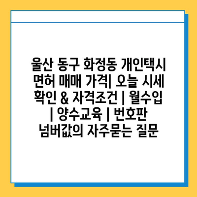 울산 동구 화정동 개인택시 면허 매매 가격| 오늘 시세 확인 & 자격조건 | 월수입 | 양수교육 | 번호판 넘버값