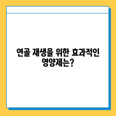 무릎 연골 건강 지키는 효과적인 영양제 추천 | 관절 건강, 연골 재생, 통증 완화