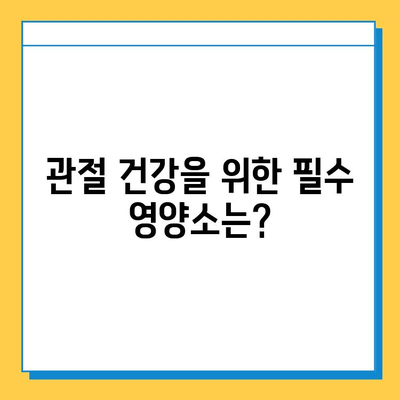 무릎 연골 건강 지키는 효과적인 영양제 추천 | 관절 건강, 연골 재생, 통증 완화