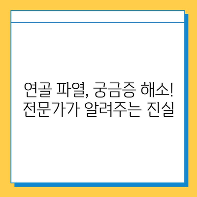 연골 파열, 위험한 진실| 당신의 건강을 위협하는 숨겨진 진실 | 연골 파열, 증상, 치료, 예방