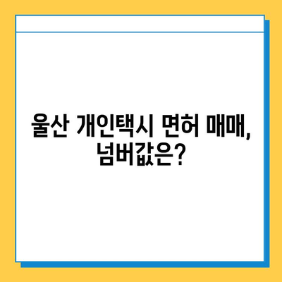 울산 중구 다운동 개인택시 면허 매매 가격 & 시세 정보 | 오늘 기준, 번호판, 넘버값, 자격조건, 월수입, 양수교육