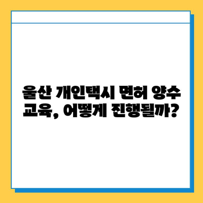 울산 중구 다운동 개인택시 면허 매매 가격 & 시세 정보 | 오늘 기준, 번호판, 넘버값, 자격조건, 월수입, 양수교육