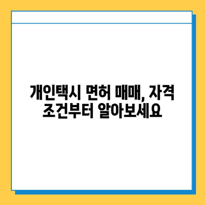 충청남도 서천군 마산면 개인택시 면허 매매 가격| 오늘 시세 확인 & 자격조건, 월수입, 양수교육 안내 | 넘버값, 번호판