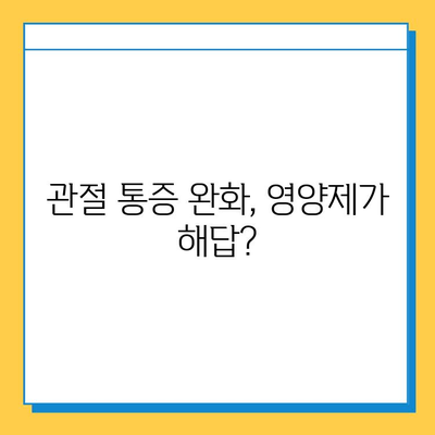 무릎 연골 건강을 위한 영양제| 관절 통증 완화에 효과적인 성분 분석 | 관절 건강, 영양제 추천, 무릎 통증, 연골 재생