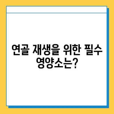 무릎 연골 건강을 위한 영양제| 관절 통증 완화에 효과적인 성분 분석 | 관절 건강, 영양제 추천, 무릎 통증, 연골 재생