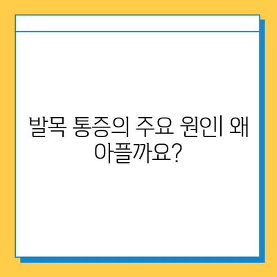 발목 통증, 연골 관리 방법| 운동, 식단, 치료 | 발목 통증 원인, 연골 재생, 재활 운동