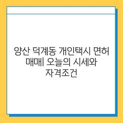 양산 덕계동 개인택시 면허 매매| 오늘 시세 & 자격조건 | 넘버값, 월수입, 양수교육