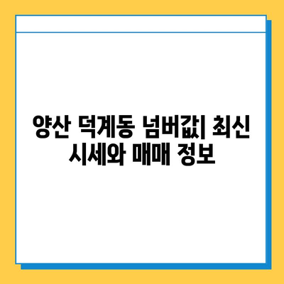 양산 덕계동 개인택시 면허 매매| 오늘 시세 & 자격조건 | 넘버값, 월수입, 양수교육