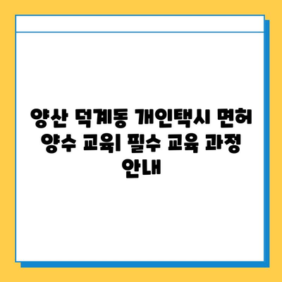 양산 덕계동 개인택시 면허 매매| 오늘 시세 & 자격조건 | 넘버값, 월수입, 양수교육