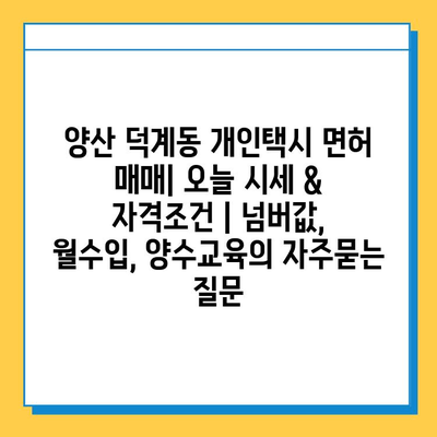 양산 덕계동 개인택시 면허 매매| 오늘 시세 & 자격조건 | 넘버값, 월수입, 양수교육