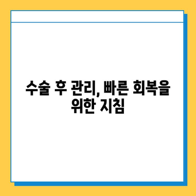 반월상 연골 파열 수술, 언제 해야 할까요? | 적절한 시기, 판단 기준, 수술 후 관리