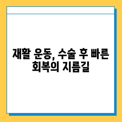 반월상연골파열, 수술 시기는 언제가 적절할까요? |  치료, 재활, 운동, 전문의 상담