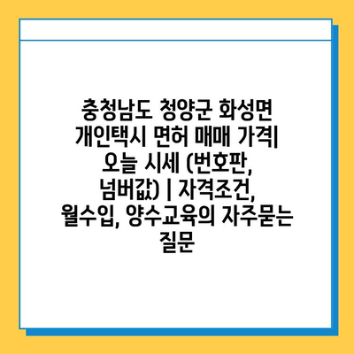 충청남도 청양군 화성면 개인택시 면허 매매 가격| 오늘 시세 (번호판, 넘버값) | 자격조건, 월수입, 양수교육