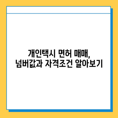 광주 서구 치평동 개인택시 면허 매매 가격| 오늘 시세 확인 및 양수 교육 정보 | 번호판, 넘버값, 자격조건, 월수입