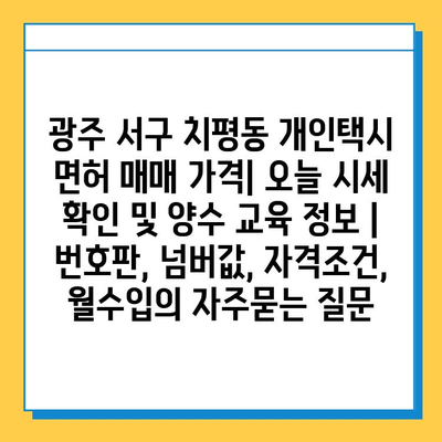 광주 서구 치평동 개인택시 면허 매매 가격| 오늘 시세 확인 및 양수 교육 정보 | 번호판, 넘버값, 자격조건, 월수입