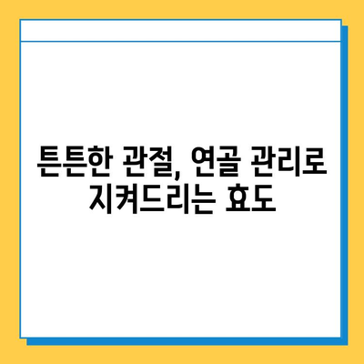 부모님 건강, 연골 영양제로 지켜드리세요 | 관절 건강, 연골 관리, 부모님 선물, 효도