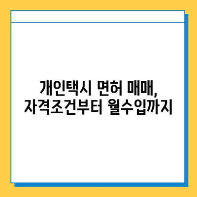 경상남도 남해군 미조면 개인택시 면허 매매 가격| 오늘 시세 확인 & 자격조건, 월수입, 양수교육 정보 | 번호판, 넘버값