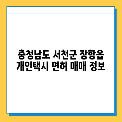 충청남도 서천군 장항읍 개인택시 면허 매매 가격| 오늘 시세 확인 & 자격조건, 월수입, 양수교육 정보 | 번호판, 넘버값