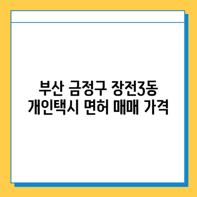 부산 금정구 장전3동 개인택시 면허 매매 가격| 오늘 시세 확인! | 번호판, 넘버값, 자격조건, 월수입, 양수교육