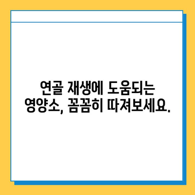 관절 건강 지키는 선택! 나에게 맞는 연골 영양제 고르는 기준 | 관절 통증, 연골 재생, 영양제 추천, 건강 관리