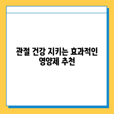 관절 건강 지키는 선택! 나에게 맞는 연골 영양제 고르는 기준 | 관절 통증, 연골 재생, 영양제 추천, 건강 관리