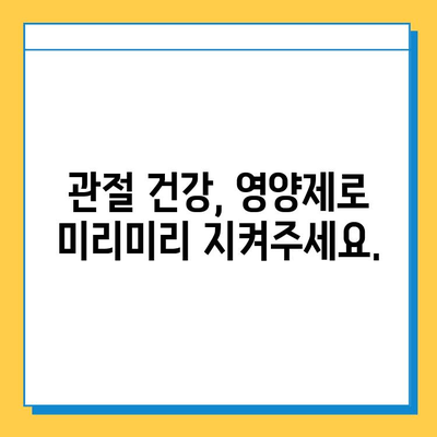 관절 건강 지키는 선택! 나에게 맞는 연골 영양제 고르는 기준 | 관절 통증, 연골 재생, 영양제 추천, 건강 관리