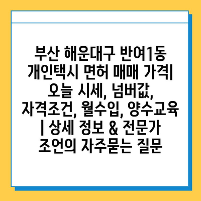 부산 해운대구 반여1동 개인택시 면허 매매 가격| 오늘 시세, 넘버값, 자격조건, 월수입, 양수교육 | 상세 정보 & 전문가 조언