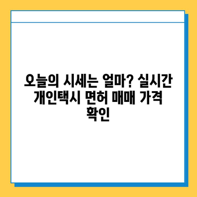 경상북도 성주군 선남면 개인택시 면허 매매 가격| 오늘 시세 확인 및 양수 교육 정보 | 번호판, 넘버값, 자격조건, 월수입